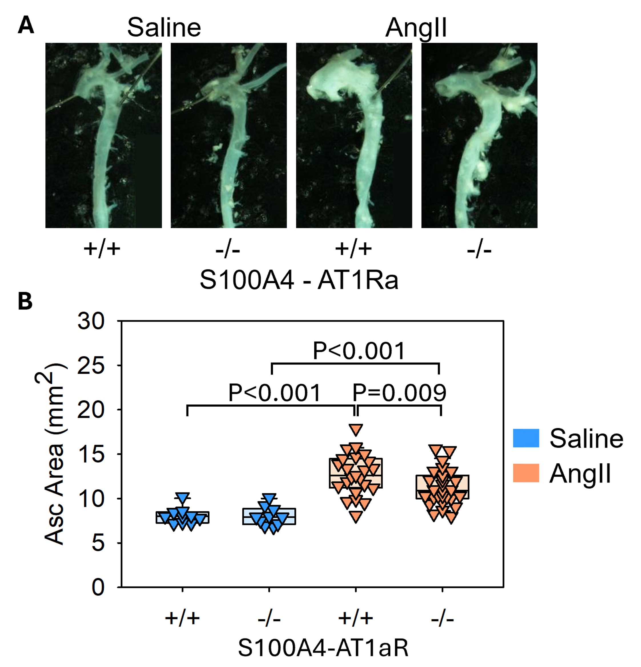 Publication 2